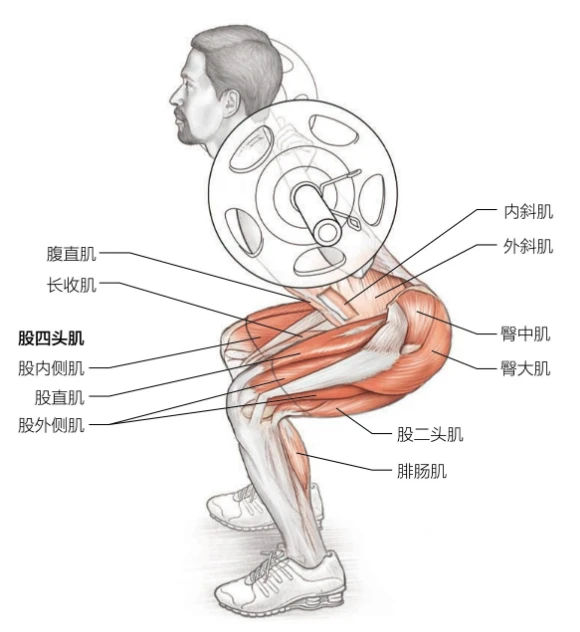 如何制定有效的篮球训练策略以提高球员表现_2